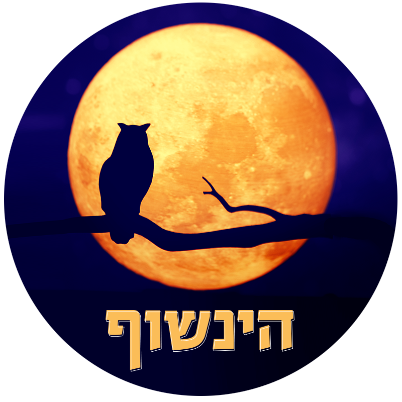 מעבר להייפ: בניית חוסן מנטלי וערך עסקי אמיתי כבסיס להצלחת מיזמים חדשים